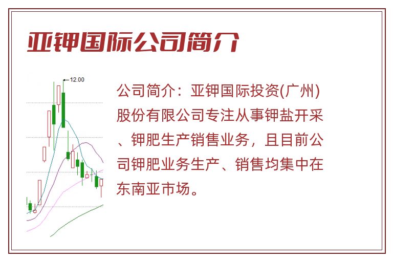 亚钾国际公司简介