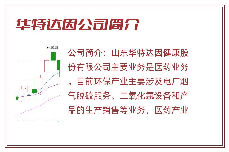 华特达因公司简介