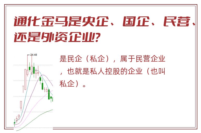 通化金马是央企、国企、民营、还是外资企业？