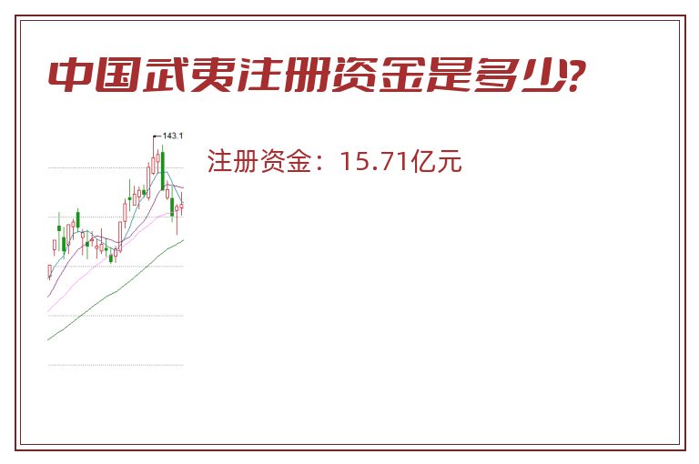 中国武夷注册资金是多少？