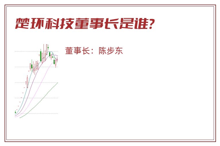 楚环科技董事长是谁？