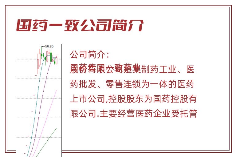 国药一致公司简介