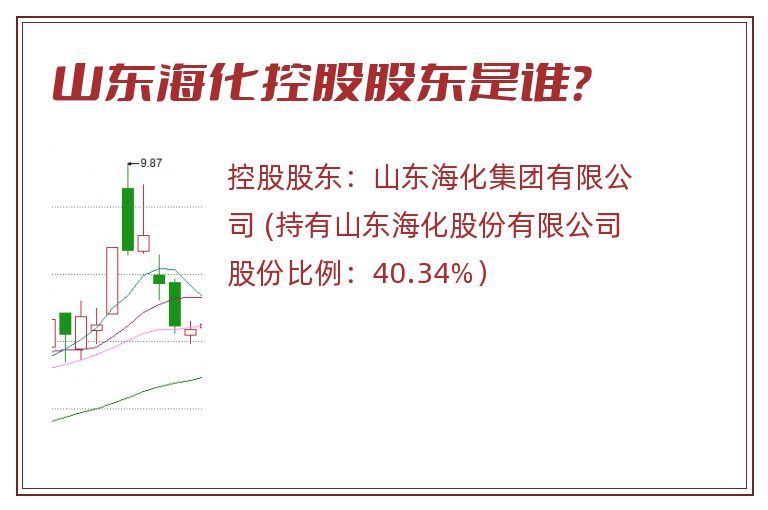 山东海化控股股东是谁？