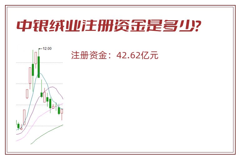 中银绒业注册资金是多少？