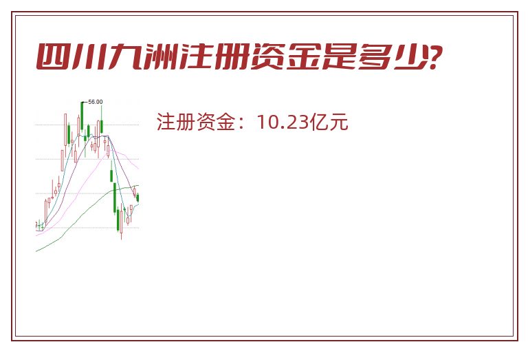 四川九洲注册资金是多少？