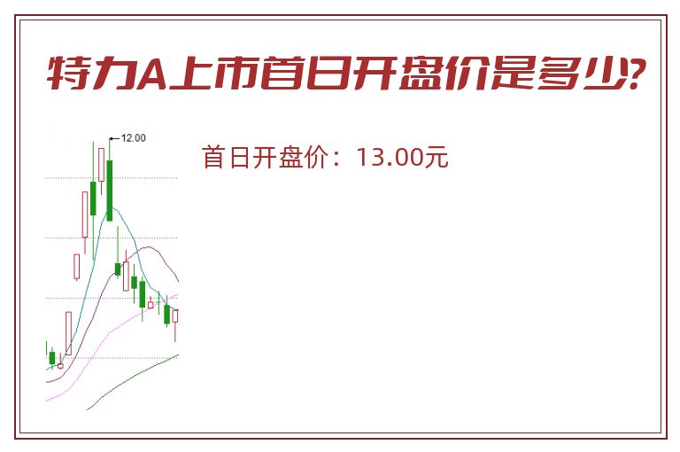 特力A上市首日开盘价是多少？