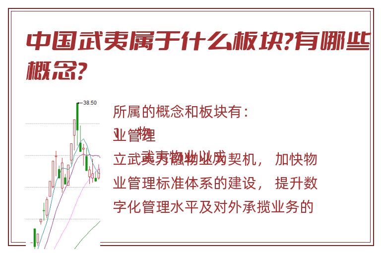 中国武夷属于什么板块？有哪些概念？