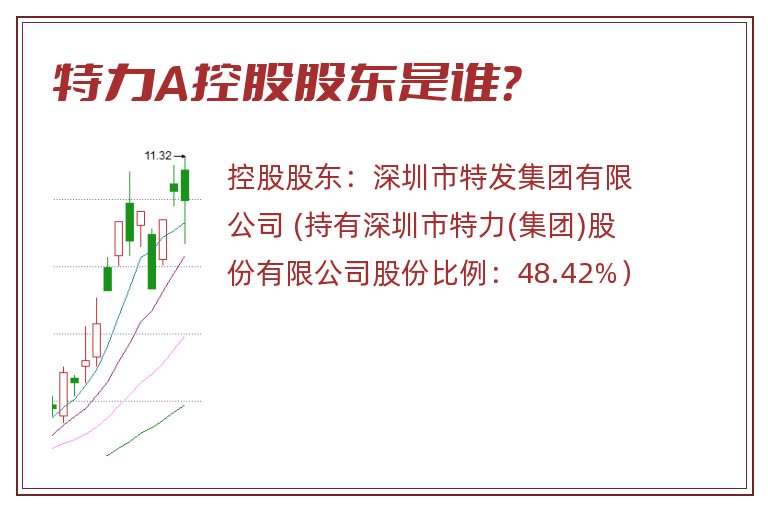 特力A控股股东是谁？