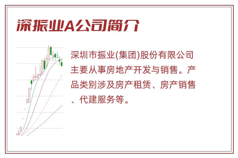 深振业A公司简介