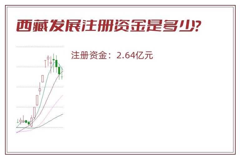 西藏发展注册资金是多少？