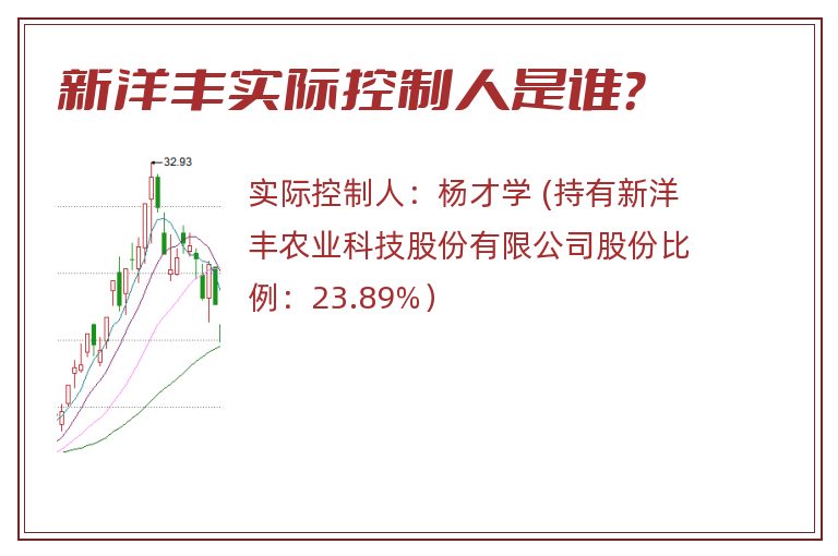 新洋丰实际控制人是谁？