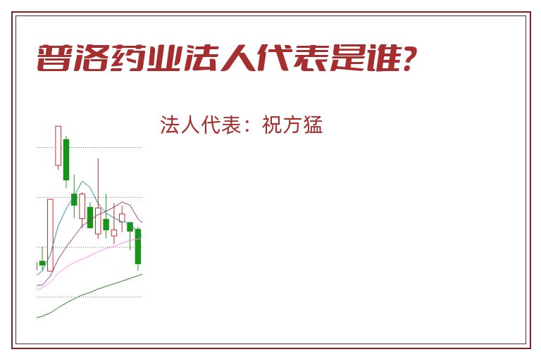 普洛药业法人代表是谁？