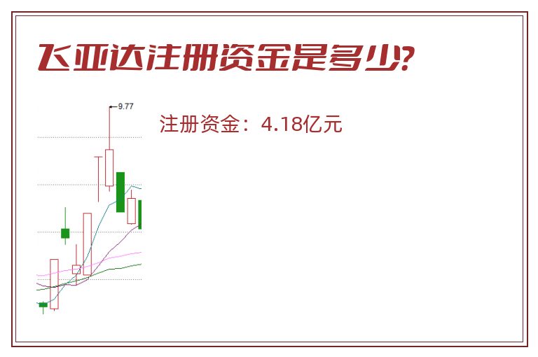 飞亚达注册资金是多少？