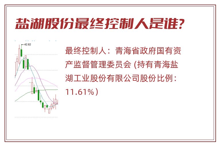 盐湖股份最终控制人是谁？