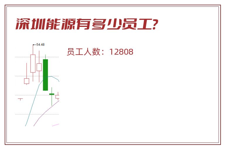 深圳能源有多少员工？