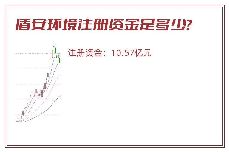 盾安环境注册资金是多少？