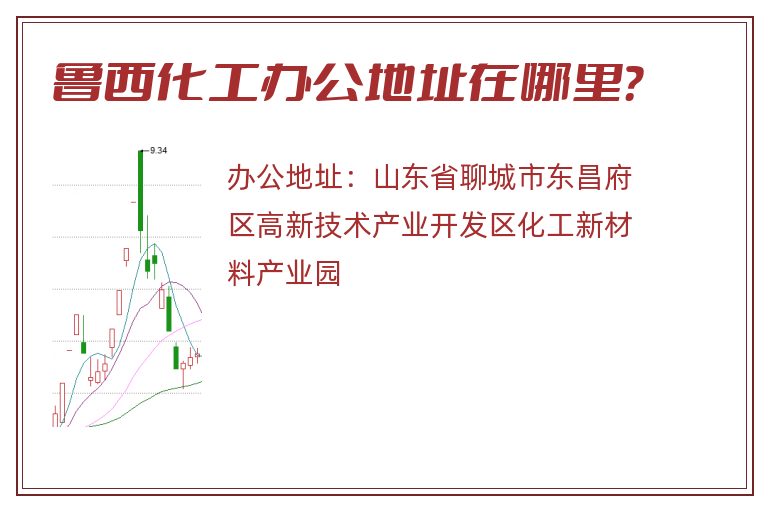 鲁西化工办公地址在哪里？