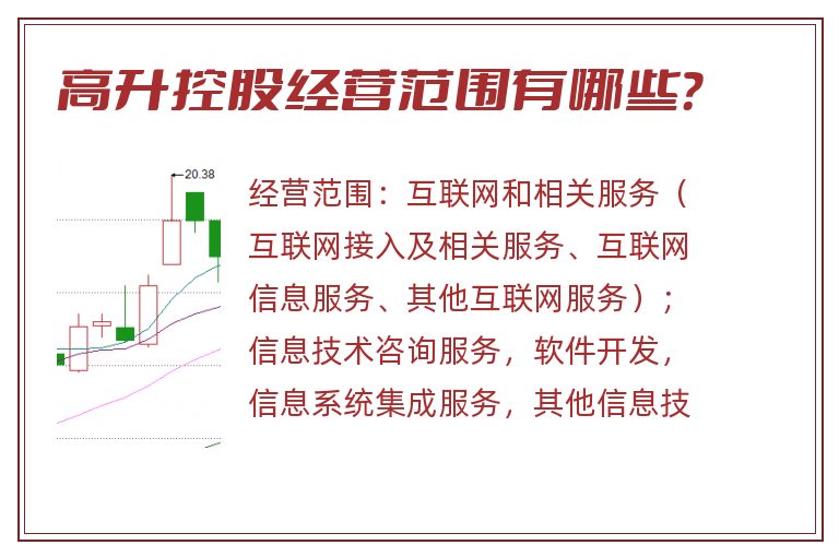 高升控股经营范围有哪些？