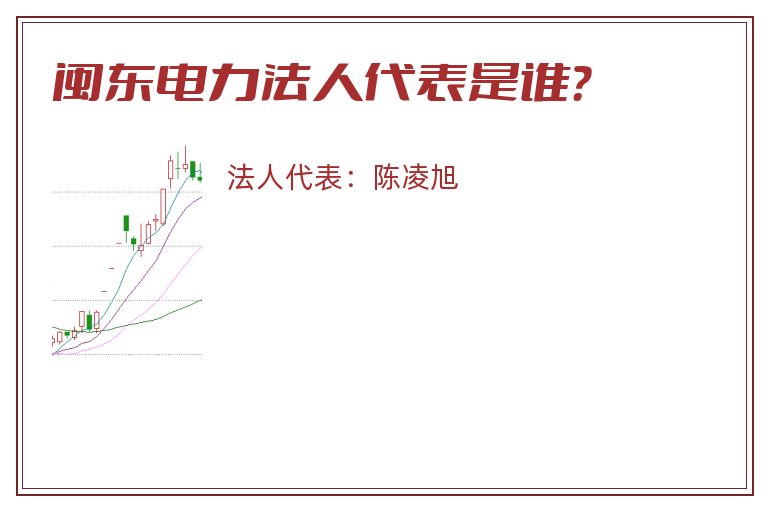 闽东电力法人代表是谁？