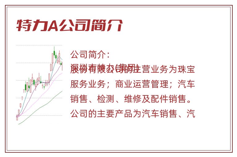 特力A公司简介