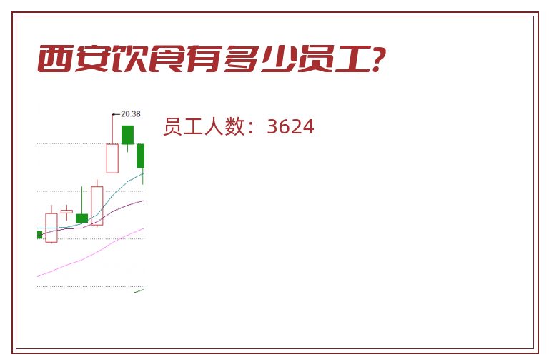 西安饮食有多少员工？