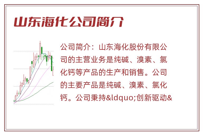 山东海化公司简介