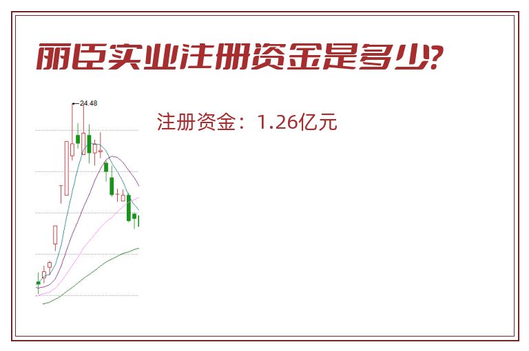 丽臣实业注册资金是多少？