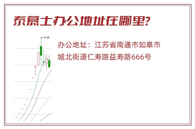 泰慕士办公地址在哪里？