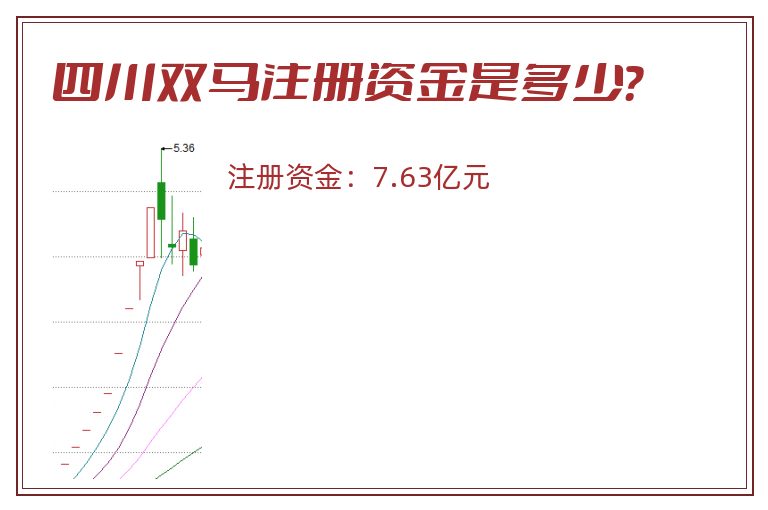 四川双马注册资金是多少？