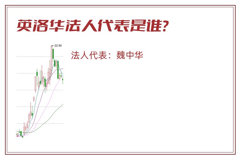 英洛华法人代表是谁？