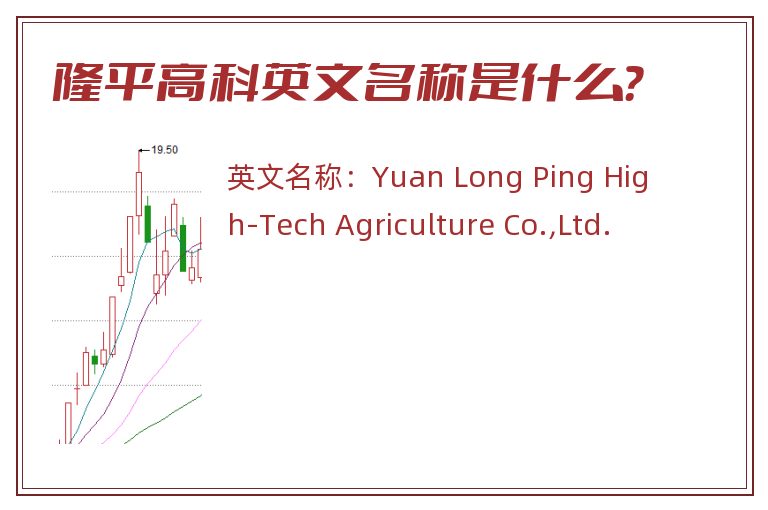 隆平高科英文名称是什么？