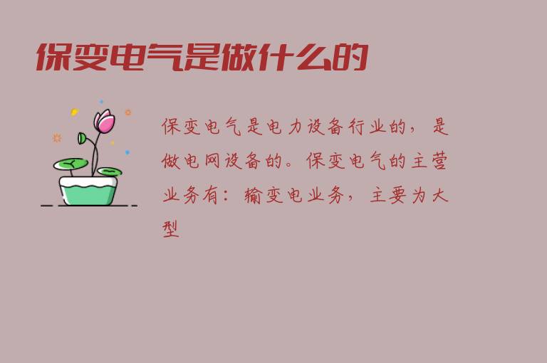 保变电气是做什么的？