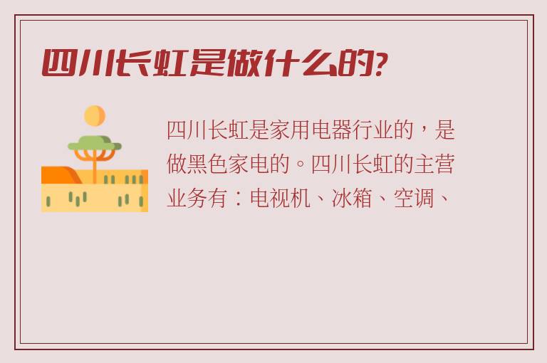 四川长虹是做什么的?