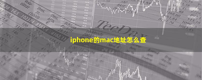 iphone的mac地址怎么查