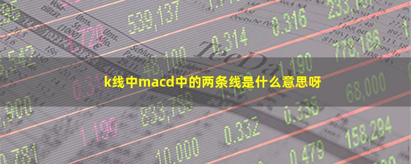 k线中macd中的两条线是什么意思呀