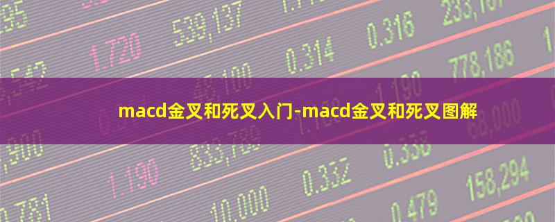 macd金叉和死叉入门-macd金叉和死