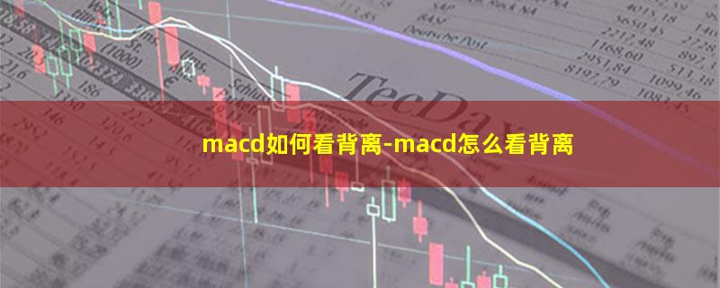 macd如何看背离.jpg