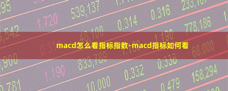 macd怎么看指标指数.jpg