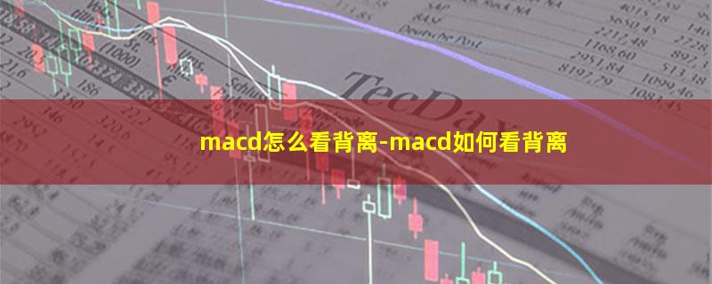 macd怎么看背离.jpg