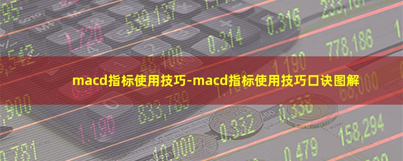 macd指标使用技巧.jpg