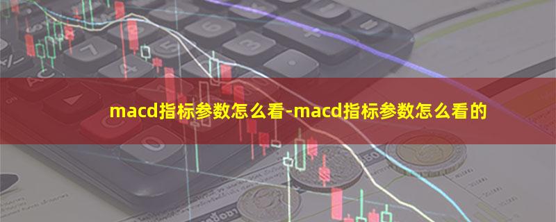 macd指标参数怎么看.jpg