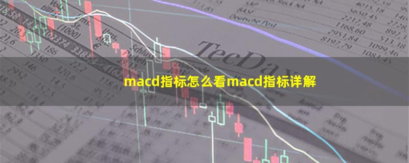 macd指标怎么看macd指标详解