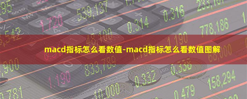 macd指标怎么看数值.jpg