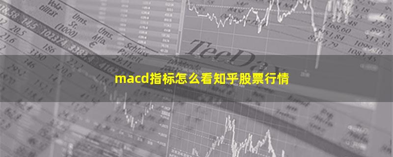 macd指标怎么看知乎股票行情