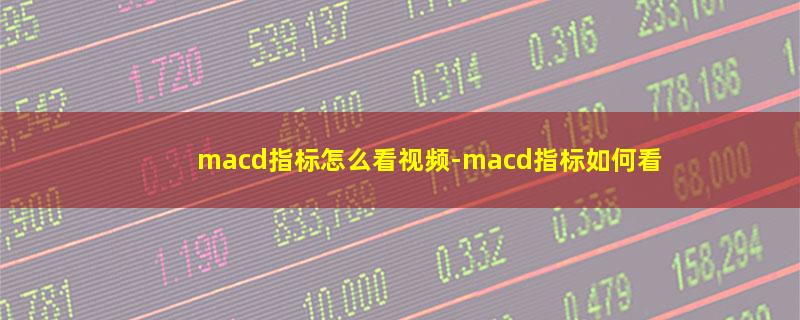 macd指标怎么看视频.jpg