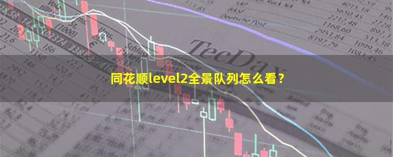 A股同花顺level2全景队列怎么看？