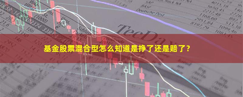 A股基金股票混合型怎么知道是挣了