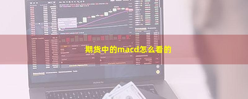 期货中的macd怎么看的