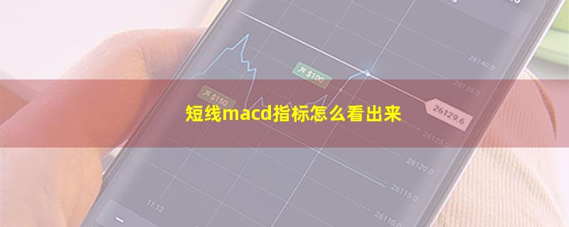 短线macd指标怎么看出来