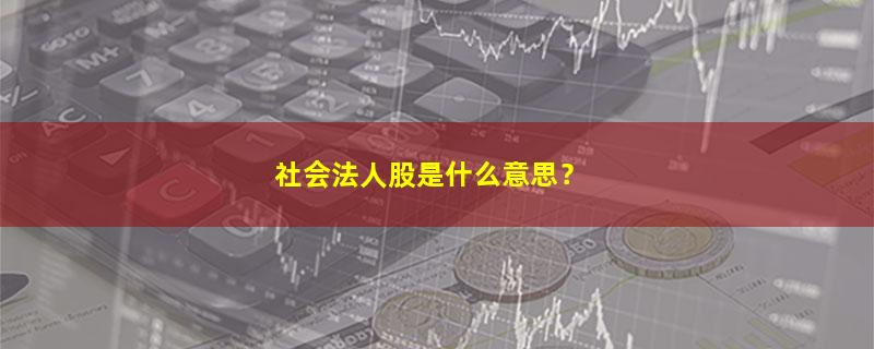 A股社会法人股是什么意思？